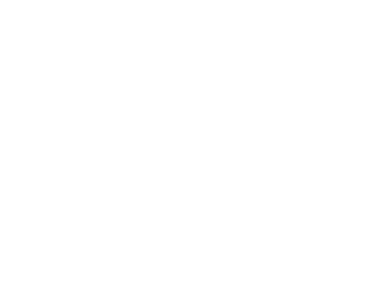 The new way of working to “The Professionals - A Group of Technocrat people”